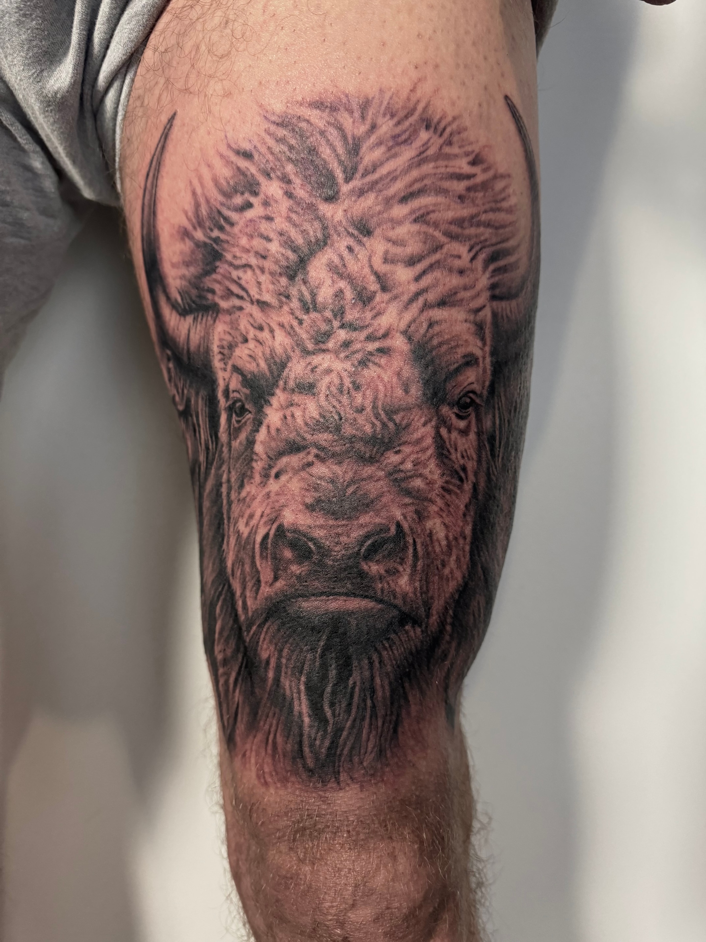 Detailed bison head tattoo on leg by Byron Rojas